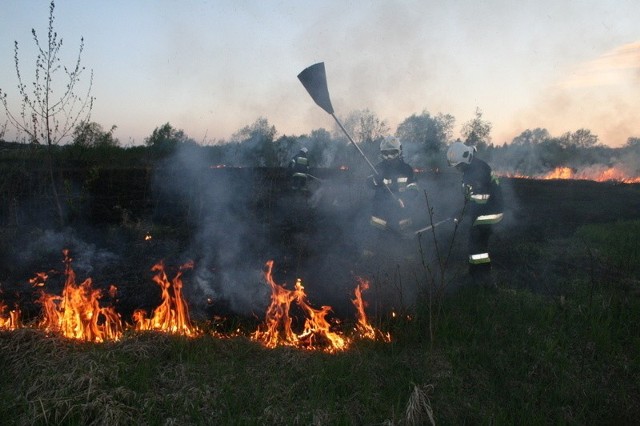 W tym roku strażacy z Gorlickiego wyjeżdżali do pożarów suchych traw już ponad 60 razy, a łączny koszt tych akcji wyniósł około 36 tysięcy złotych. Na tym się jednak najprawdopodobniej nie skończy