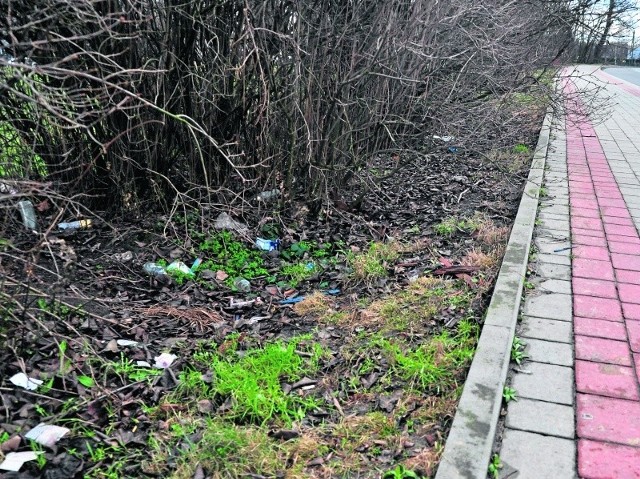 Tak wygląda zaśmiecony fragment ulicy Sandomierskiej obok Parku Dzikowskiego. Odpadów jest także pełno na terenach zielonych nad Wisłą oraz wzdłuż dróg obok Lasu Zwierzynieckiego.