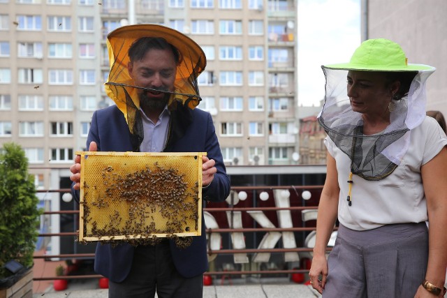 W Chorzowie mieszkanie znalazło 100 tys. pszczół