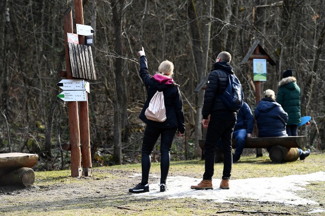 Słoneczna niedziela na Foluszu w Magurskim Parku Narodowym.