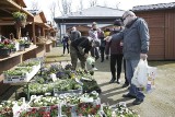 Bazarek Natury w Krępie Słupskiej już w tę sobotę 