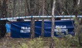 Tragiczny finał poszukiwań 32-latka. Zwłoki znalezione w lesie w Lubiczu Dolnym