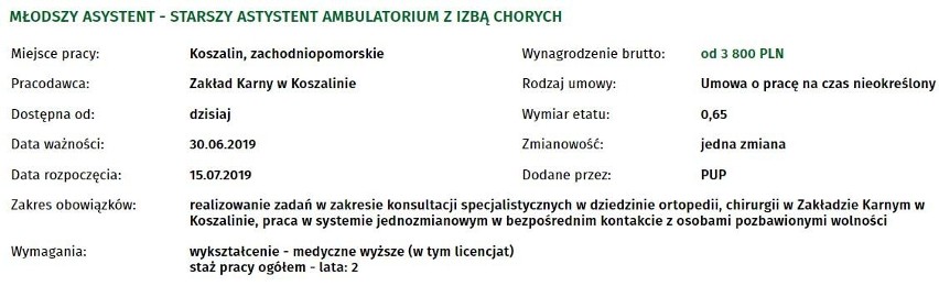 Oto najnowsze oferty pracy w Koszalinie. Szukasz pracy?...