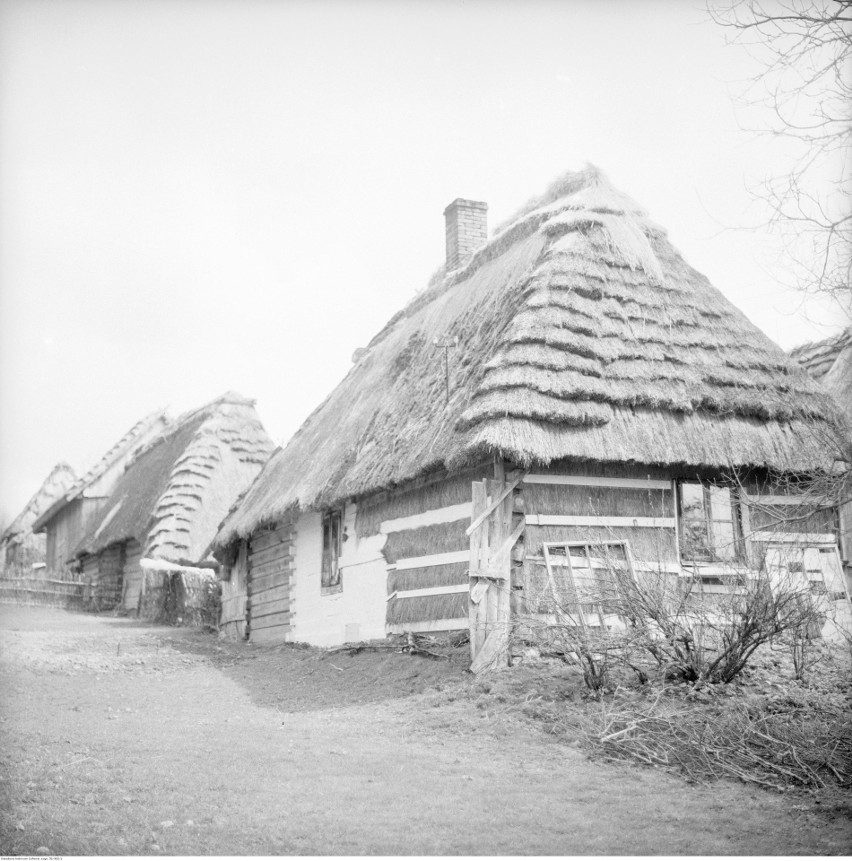 Nierozpoznana wieś na Lubelszczyźnie na archiwalnych zdjęciach