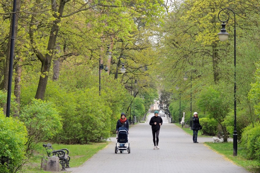 Miasto wypowiada wojnę komarom i meszkom. Będą opryski