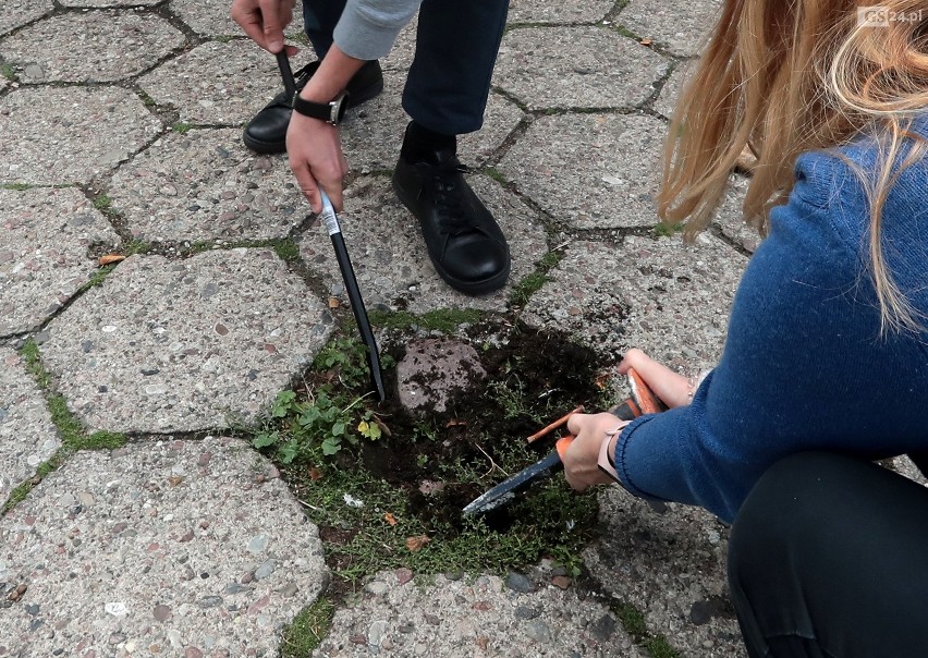 Plac Orła Białego w Szczecinie 2.0. Początek zmian na centralnym skwerze