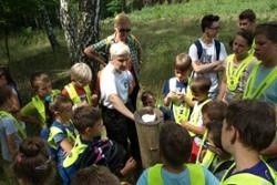 Wakacje w lesie na dwóch kółkach