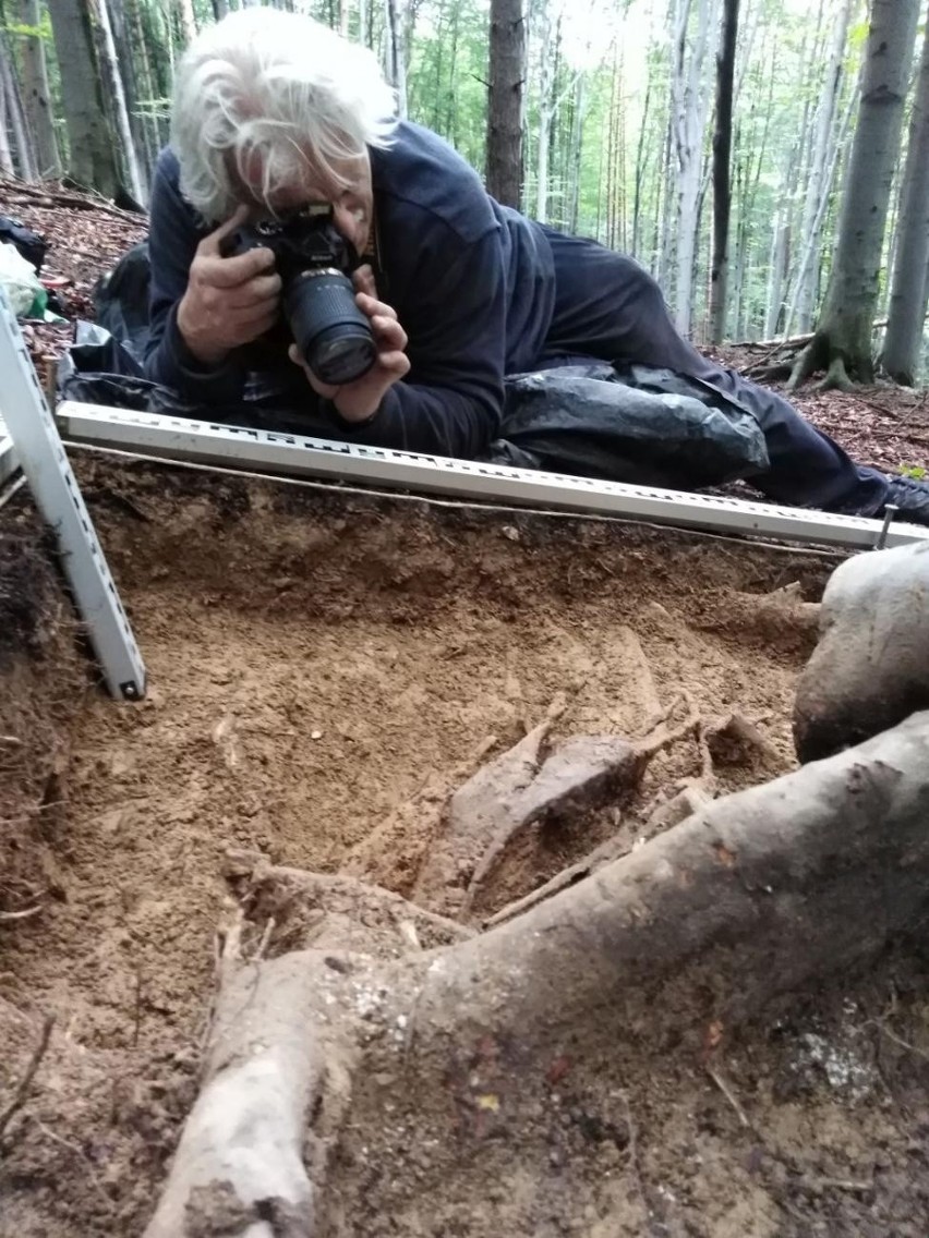 W wyniku przeprowadzonych prac odkryto 4 skarby oraz 6...