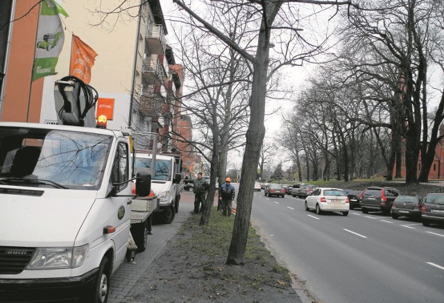 Po ostatnich wichurach w regionie po Stargardzie jeździła ekipa, która sprawdzała stan drzew w mieście, obcinała też suche gałęzie