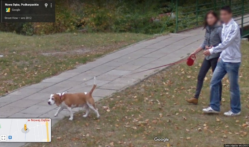 Nowa Dęba na Google Street View. Kogo uwieczniły kamery? A może ciebie? Zobacz zdjęcia
