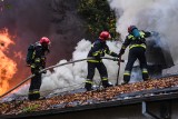 Nad ranem wybuchł pożar w domu wielorodzinnym w Puszczy Rządowej. Najbardziej poszkodowane są dzieci