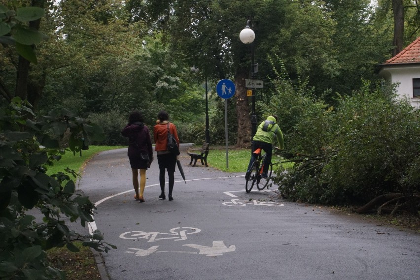 Park Sołacki nie dla rowerzystów?