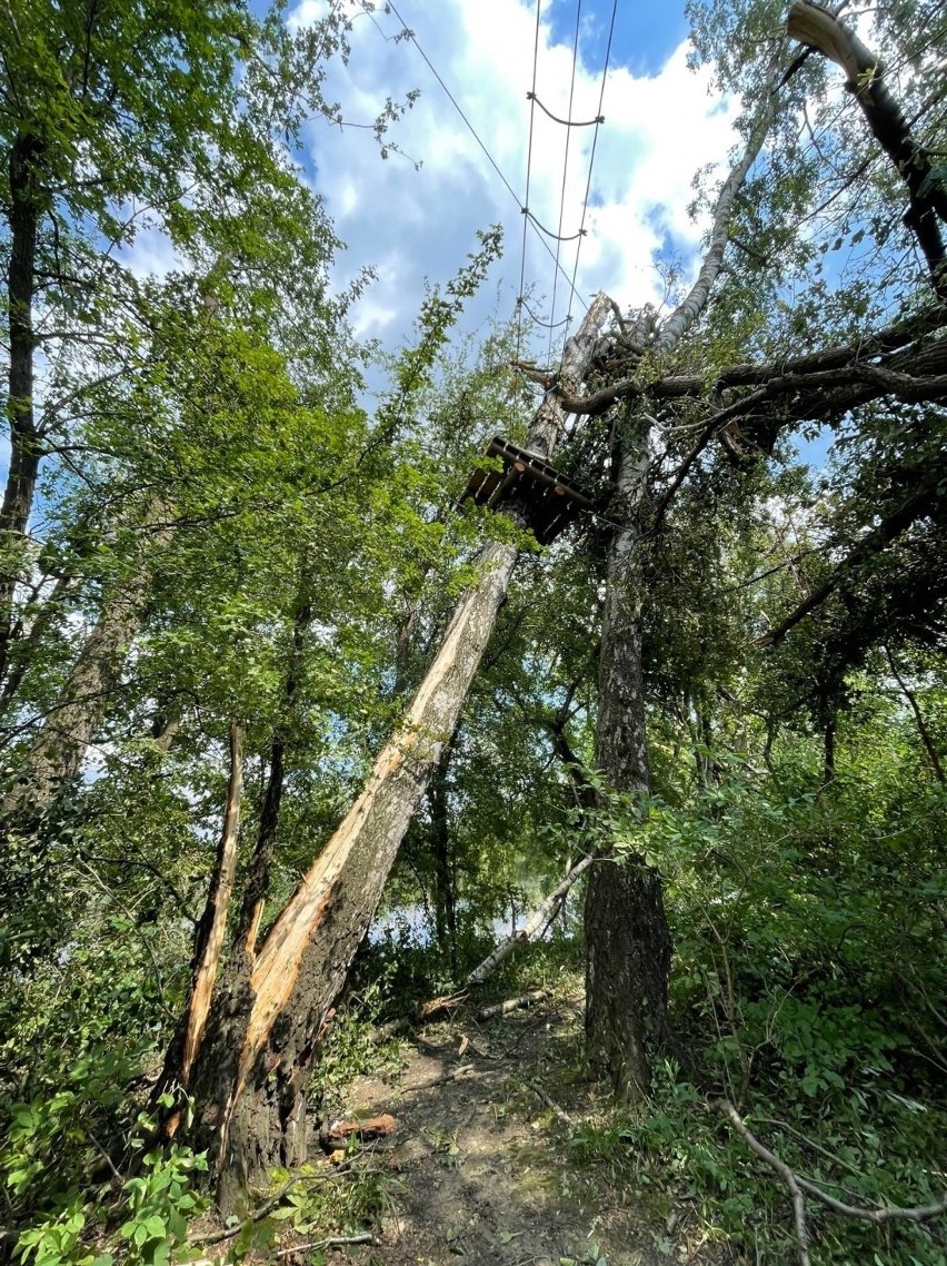 Tak Krakowski Park Linowy wyglądał po przejściu nawałnicy