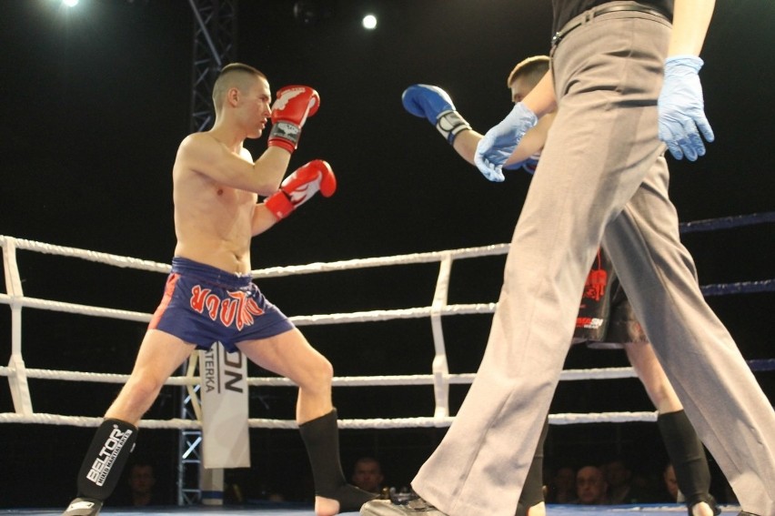 Głogowianie zdominowali Legion Fight Night [Zdjęcia Część 1]