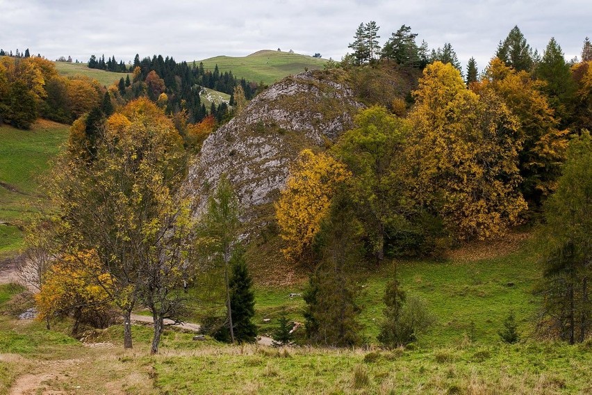 Piękna jesień w Pieninach [ZDJĘCIA]