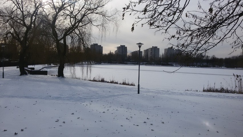 Świętochłowice: Zima zawitała nad staw Skałka [ZDJĘCIA]