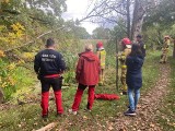 Rowerek dziecięcy znaleziony przy stawie we Wrocławiu. Na pomoc ruszyli ratownicy ze straży pożarnej, policji WSR i WOPR