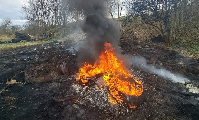 Nieznani sprawcy podpalili na jednej z prywatnych działek w Wojciechowie (gmina Kazimierza Wielka) kilkadziesiąt starych opon.