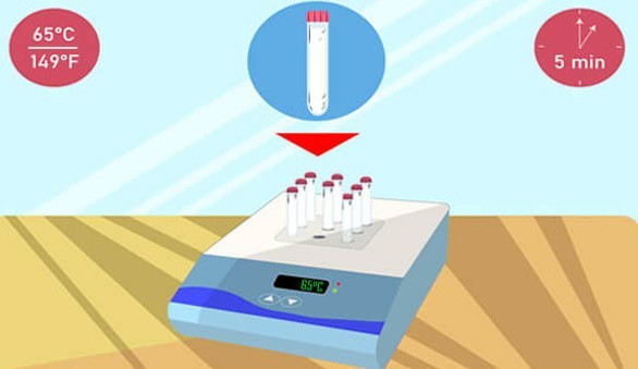 Krok 2 - badania - podgrzanie testu do temperatury 65 stopni