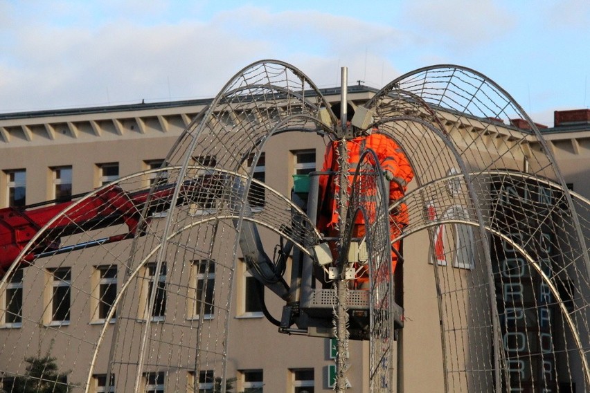 Nowa świąteczna choinka stoi już na placu Wolności