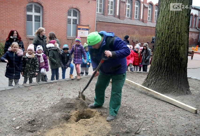 Przedszkolaki ze Szczecina pomogą ptakom przetrwać zimę. Pierwszy karmnik już stoi [ZDJĘCIA, WIDEO]