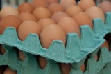 Skażone jaja z Europy Zachodniej także w Wielkopolsce!