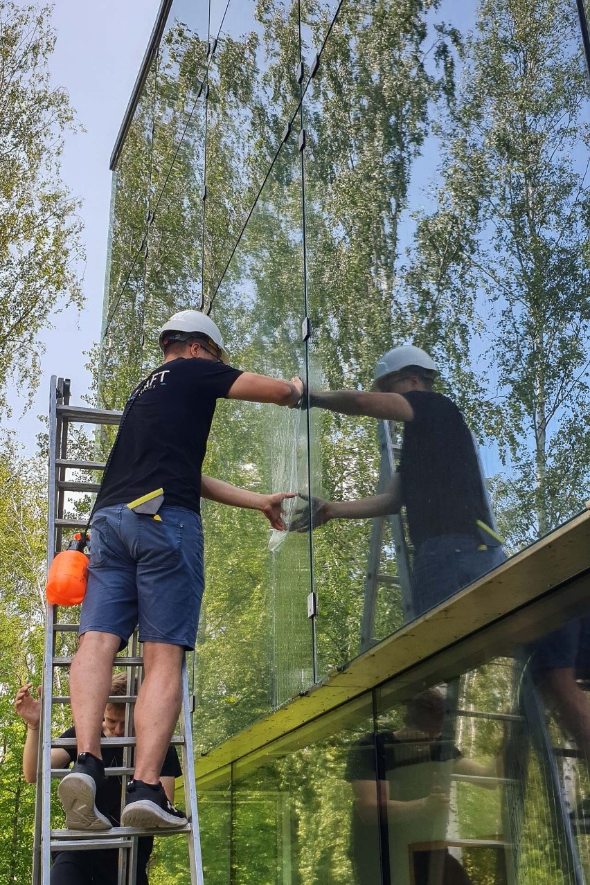 Uniwersytet w Białymstoku przetestuje niewidoczną dla ludzi folię ograniczającą kolizje ptaków ze szklanymi powierzchniami