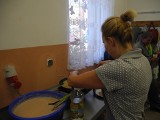 Dzień ziemniaka w Niedarzynie (wideo, zdjęcia)