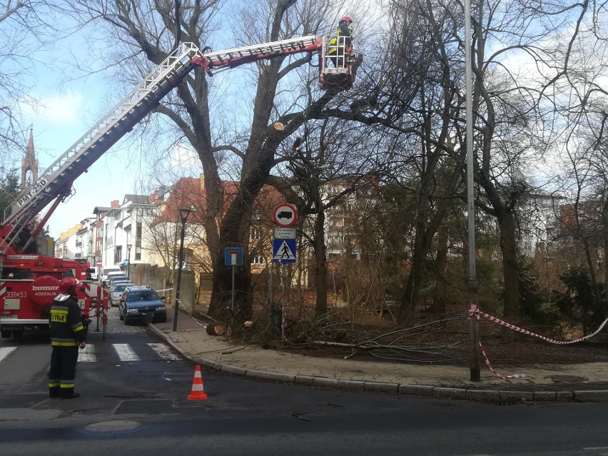 Silny wiatr w regionie. Utrudnienia na drogach i brak prądu [RAPORT]