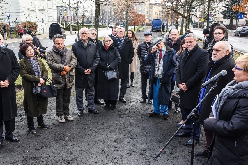 Nowy dąb w alei Ossolińskich. Czyje imię nosi?