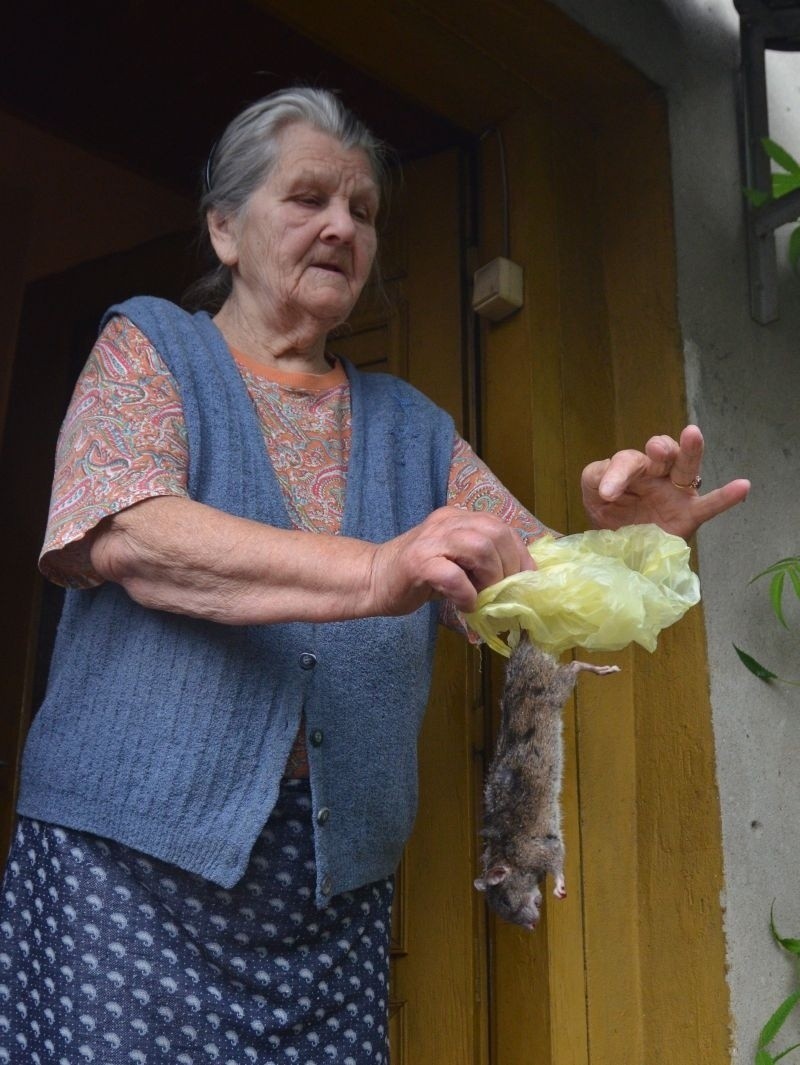 92-letnia Irena Niedbajlik została ugryziona w palec przez...
