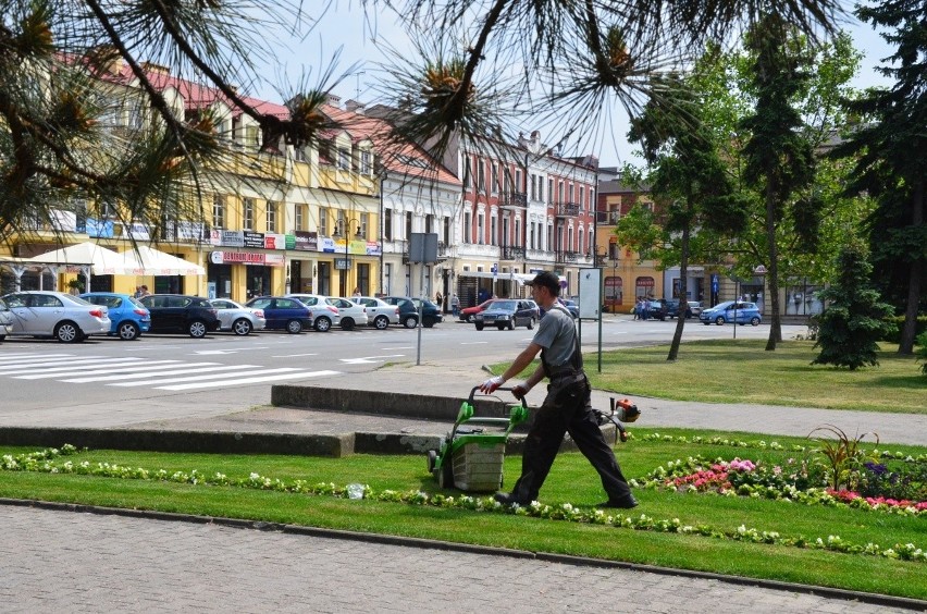 Włocławek od dziesięcioleci słynie z pięknych dywanów...