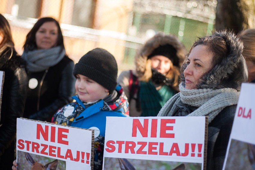 Nie chcą odstrzału zwierząt. Protest ekologów w Redzikowie