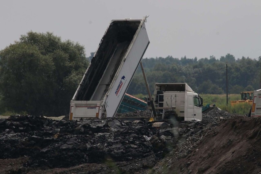 Zdaniem ekologa urzędnicy w Oświęcimiu lekką ręką wydają...