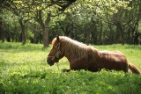 Gmina Raciechowice poleca się na majówkę. Za rekomendacje wystarczą zdjęcia