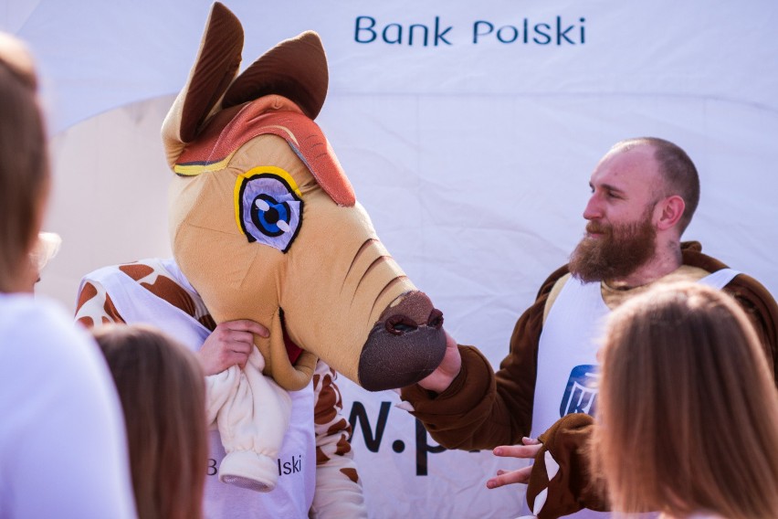 PKO Bydgoski Festiwal Biegowy 2016.