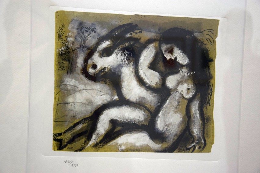 - W Żninie pokażemy 43 litografie Marca Chagalla - mówi...