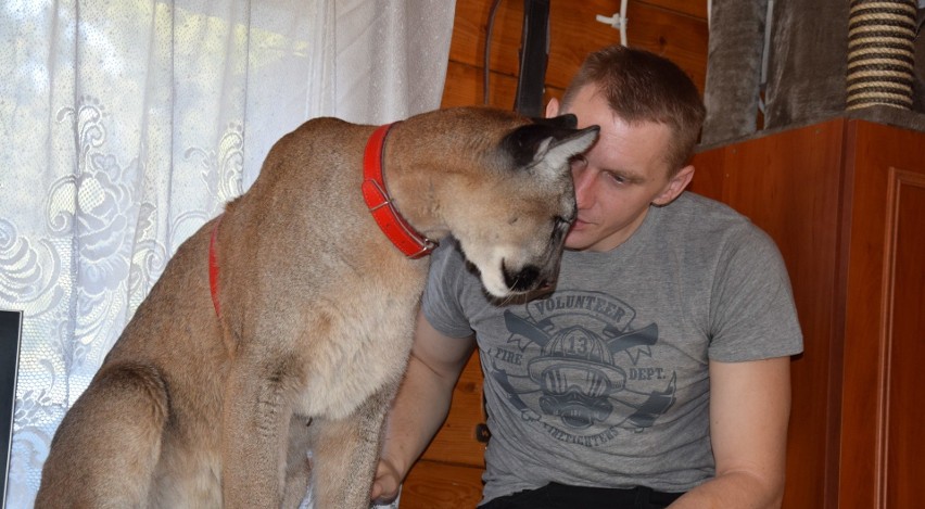 Kamil Stanek będzie pracował w chorzowskim zoo jako...