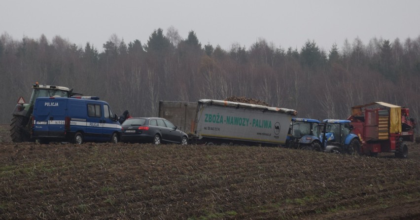 Pole, na którym doszło do tragedii.