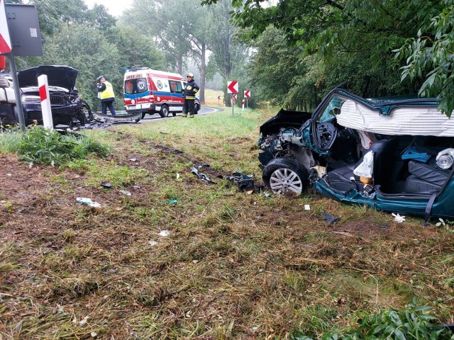 Za wstępnych ustaleń policji wynika, że kierująca bmw kobieta, która wiozła trzech pasażerów, musiała przekroczyć prędkość. W obecnych warunkach na drodze, zniosło ją na przeciwległy pas, po którym prawidłowo poruszało się renault.