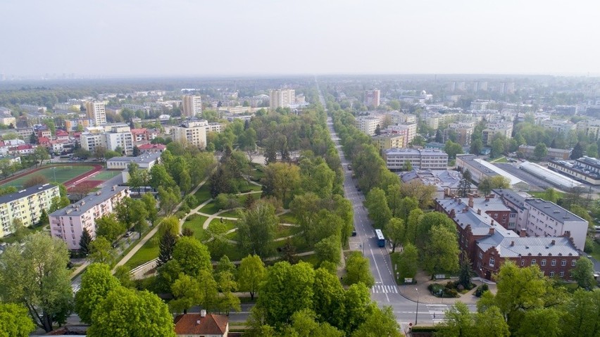 Miasto Puławy                                   