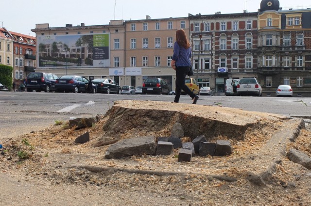 Zwłaszcza w centrum miasta ubywa drzew. W czerwcu wycięto ostatnie na placu Kopernika.