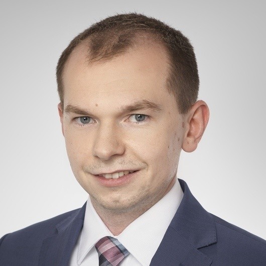 Piotr Ludwiczak, Dom Maklerski Michael/Ström