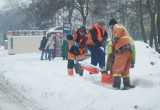 Inowrocław. Wiele osób nie dojechało do pracy, auta stoją w zasapch, znów mocno posypało!