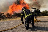 Pożary w Hiszpanii. Ostatniej nocy spłonęło ponad 1500 hektarów lasów