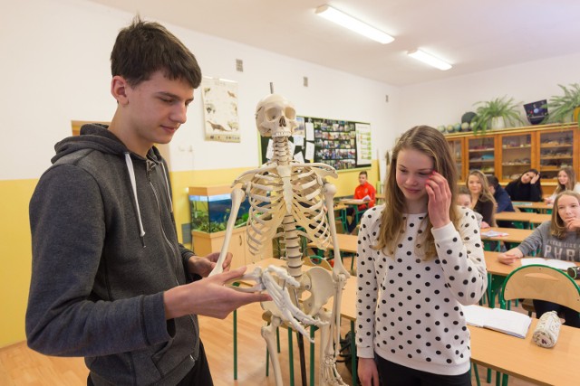 Obecnie nauczaniu teorii ewolucji poświęcony jest duży dział  biologii (na zdjęciu zajęcia z biologii w SP nr 5 przy ul. Kamiennej). Uczniowie nowych podstawówek będą z niej mieli tylko trzy tematy.