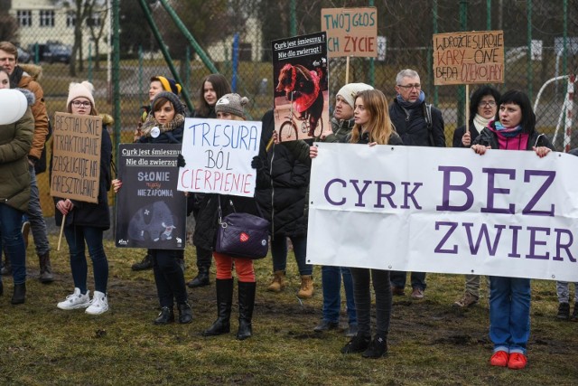 Protesty przed występami cyrków wykorzystujących zwierzęta odbywają się w Poznaniu praktycznie za każdym razem. Tak wyglądał protest 10 marca 2018 r.