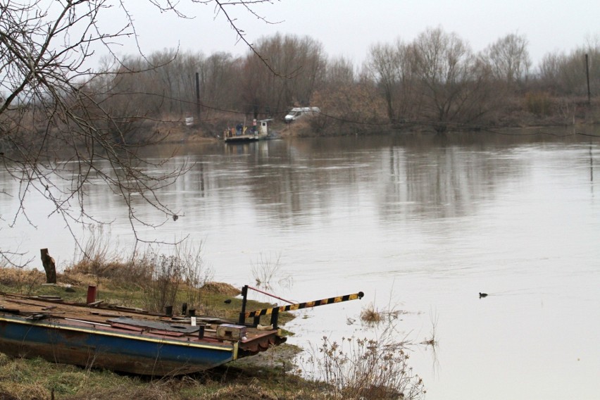 Tarnobrzeg. Wysoki poziom wody w Wiśle, na szczęście nie przybiera - 1 marca 2021