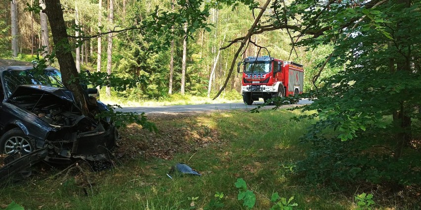 Wypadek na trasie do Dębnicy Kaszubskiej. Auto uderzyło w drzewo 