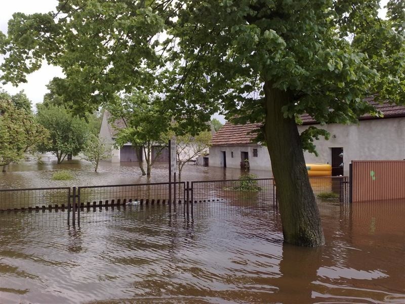 Czarnowąsy pod wodą - zdjecia z 21 maja. Ul. Wolności